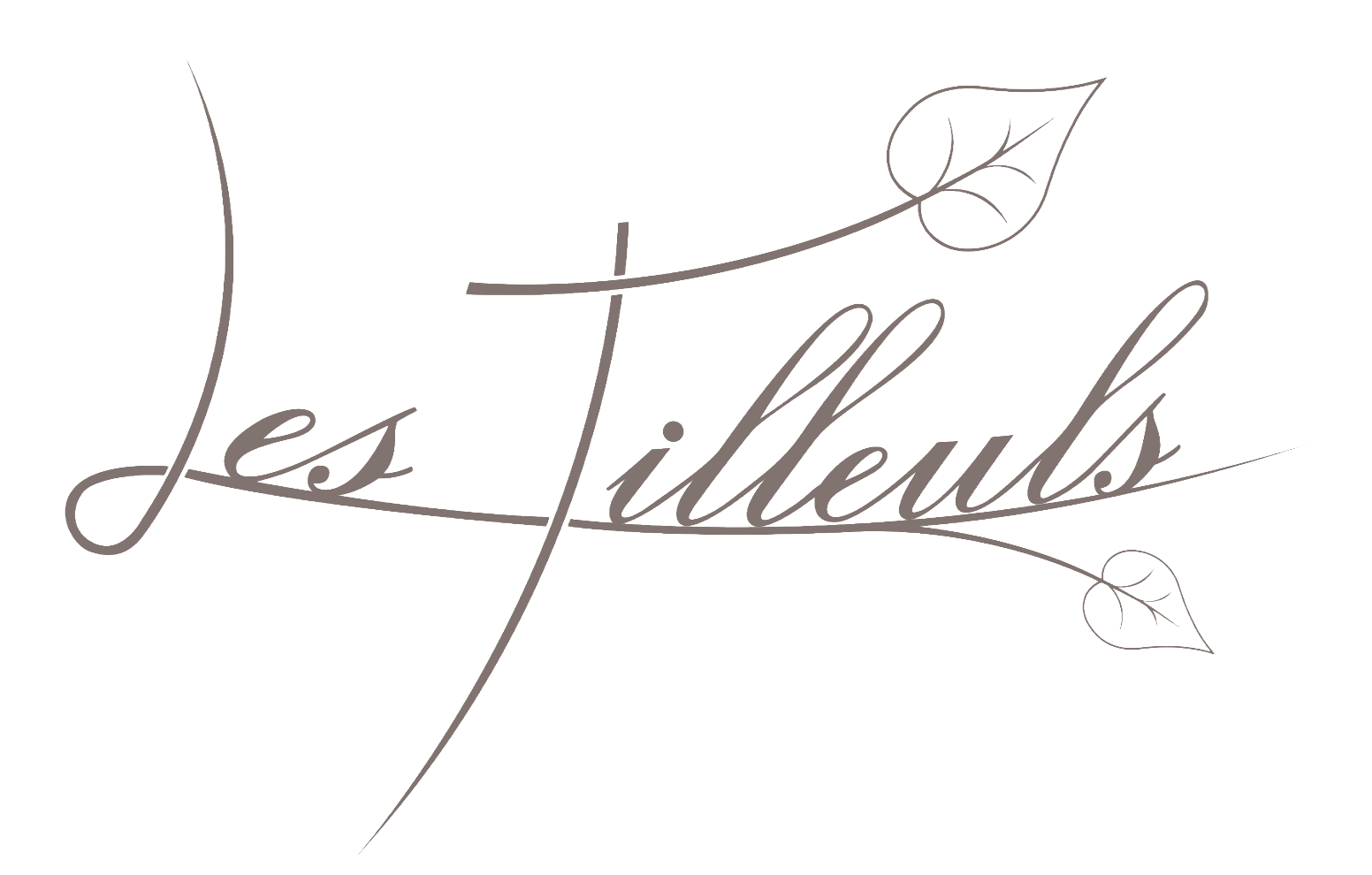 LOGO PROVISOIRE LES TILLEULS